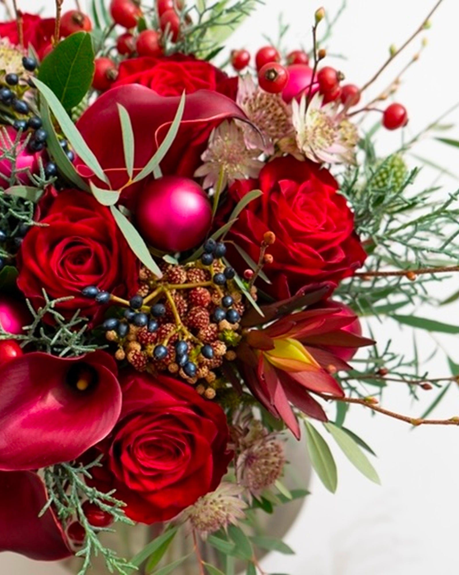 ホリデーレッドトーンズ