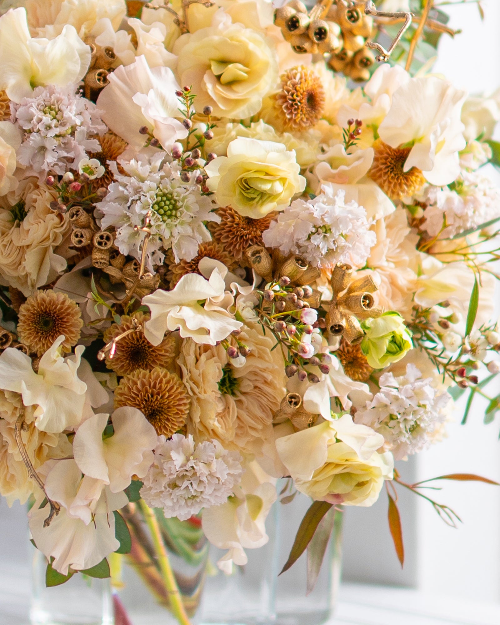 シャンパングロウ