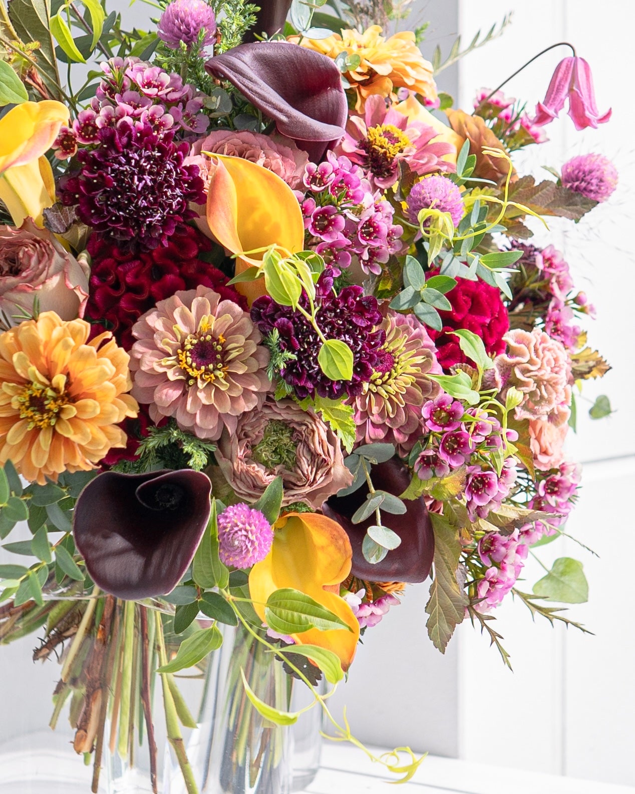 【12/19着・1点限定】カラーデザインセオリー(送料無料)