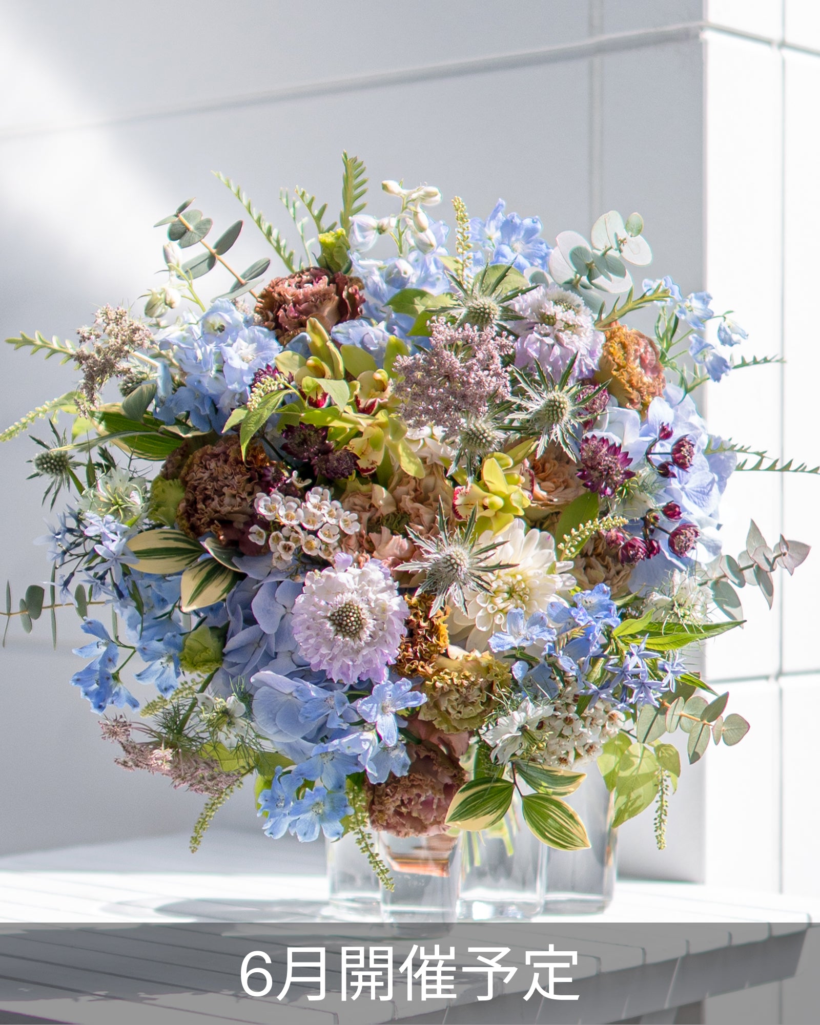 绘画灵感花束 | 色彩理论(150分钟)