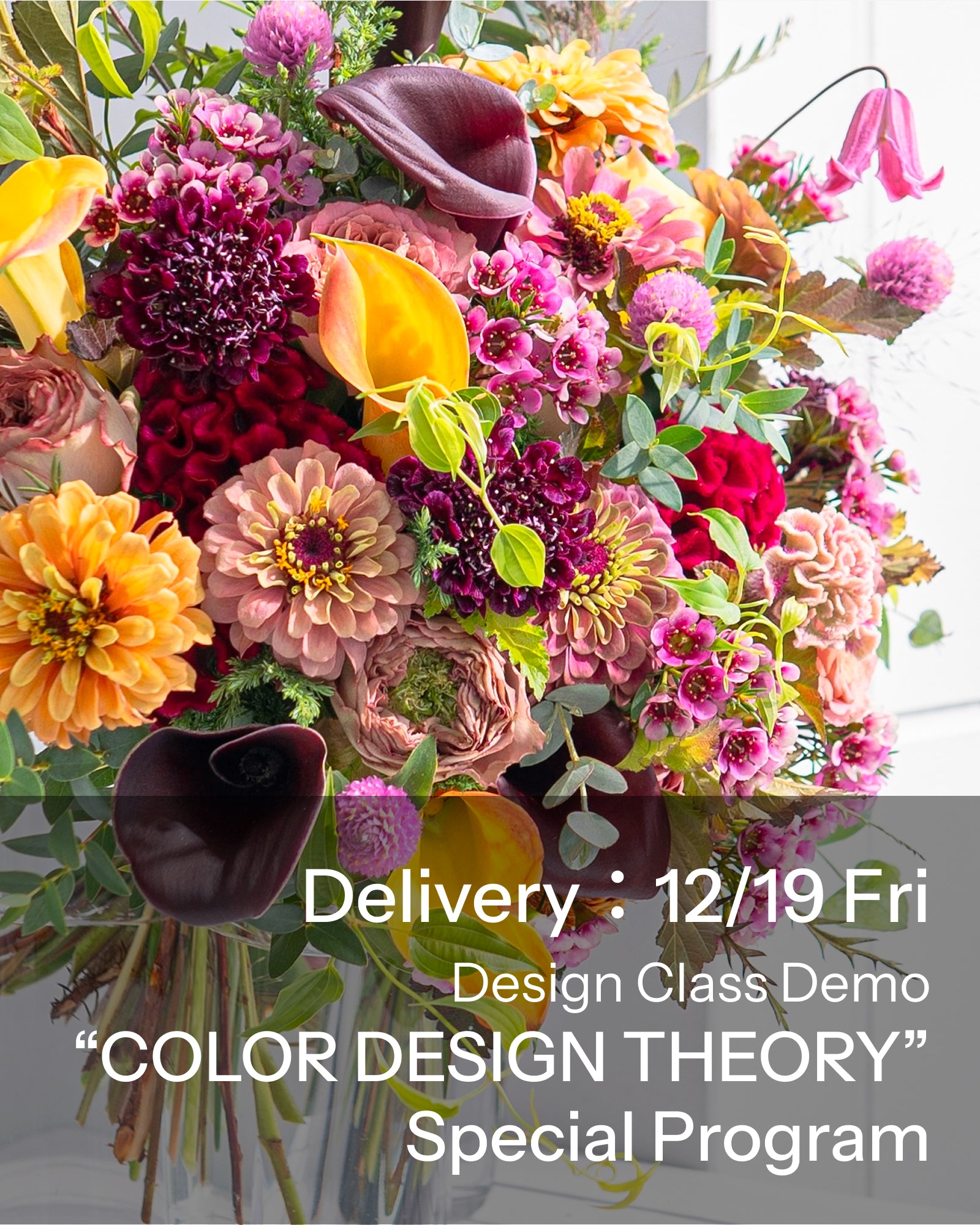 【12/19着・1点限定】カラーデザインセオリー(送料無料)