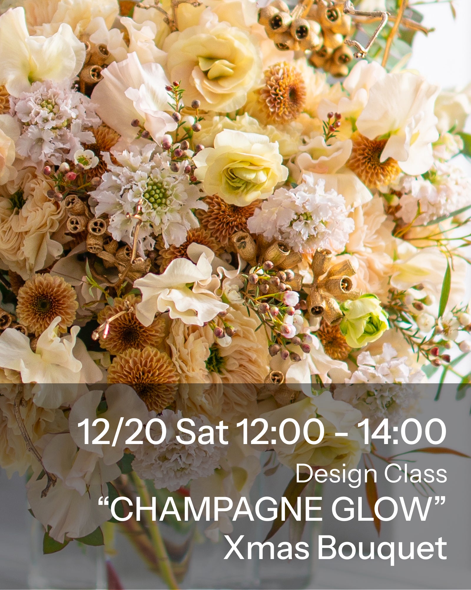 シャンパングロウ