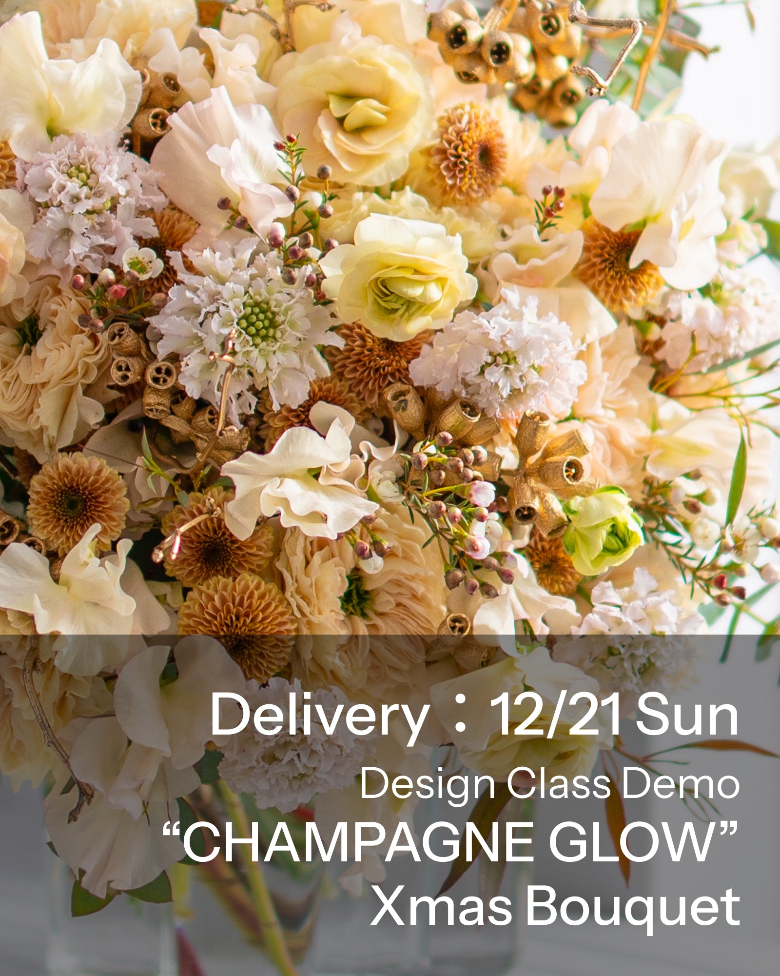 【12/21着・1点限定】シャンパングロウ(送料無料)