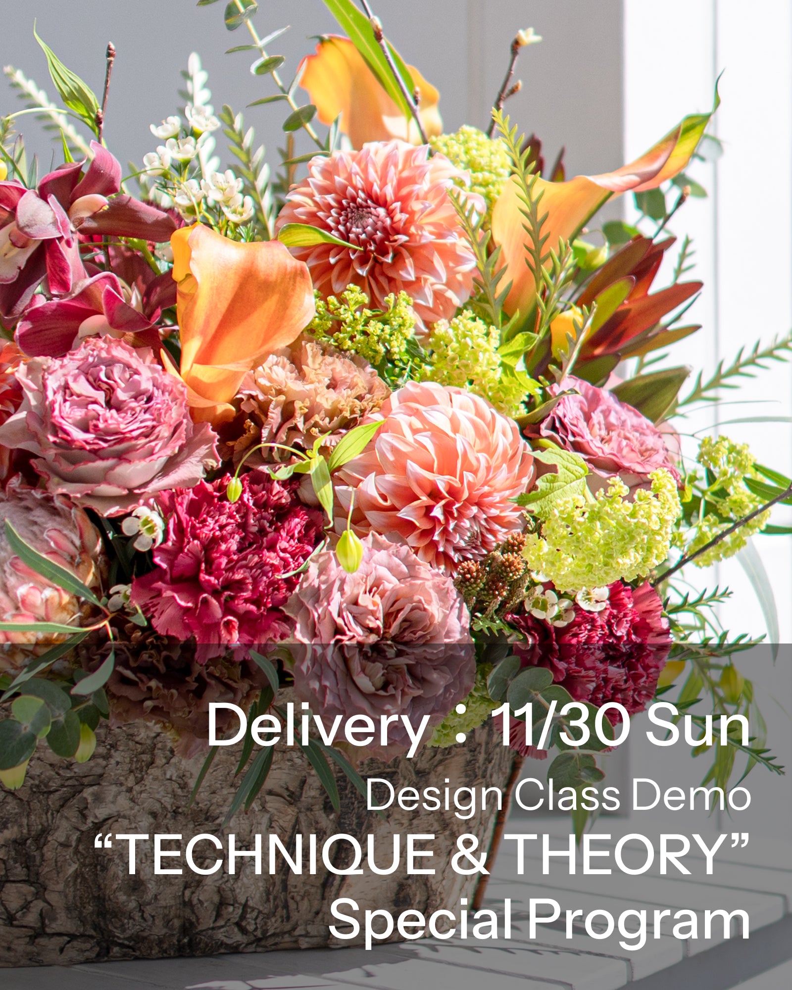 【11/30着・1点限定】テクニックアンドセオリー(送料無料)