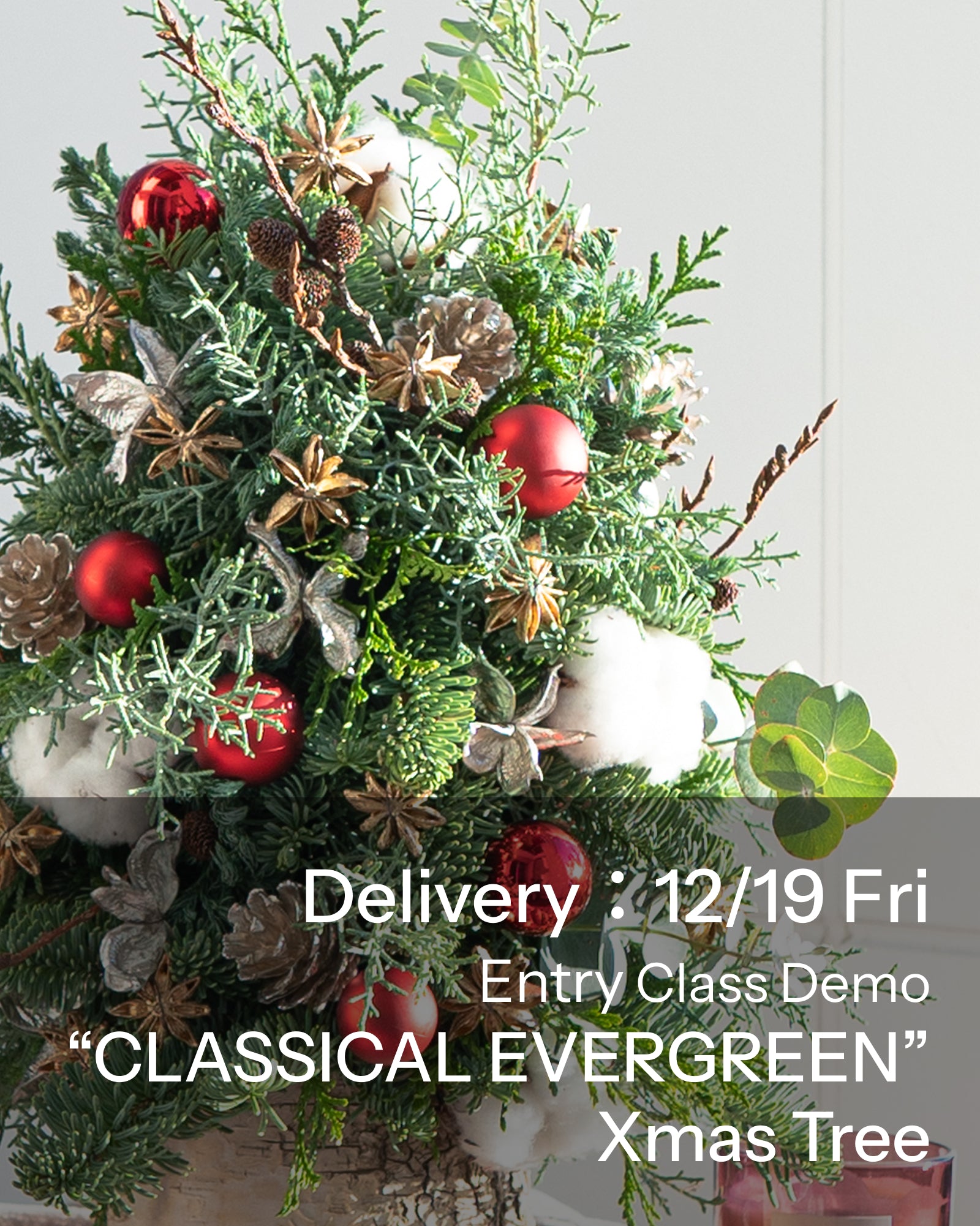 【12/19着・1点限定】クラシカルエバーグリーン(送料無料)