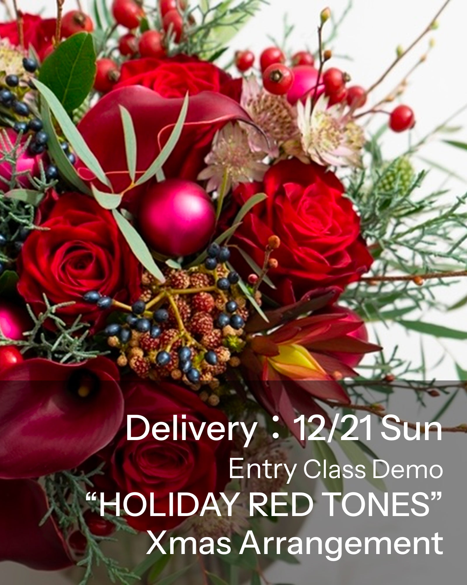 【12/21着・1点限定】ホリデーレッドトーンズ(送料無料)