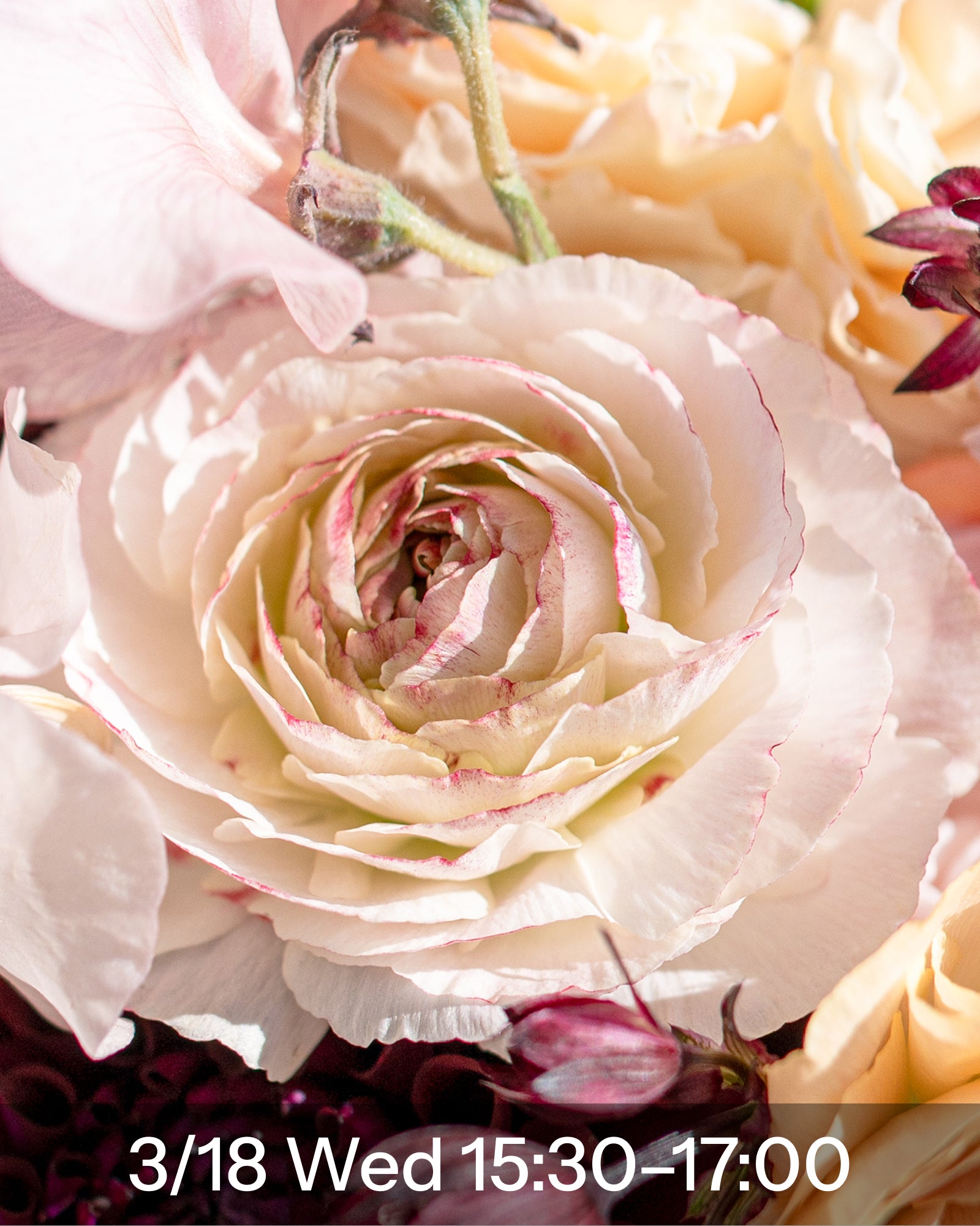 Ranunculus and Tulip Bouquet (90 minutes)