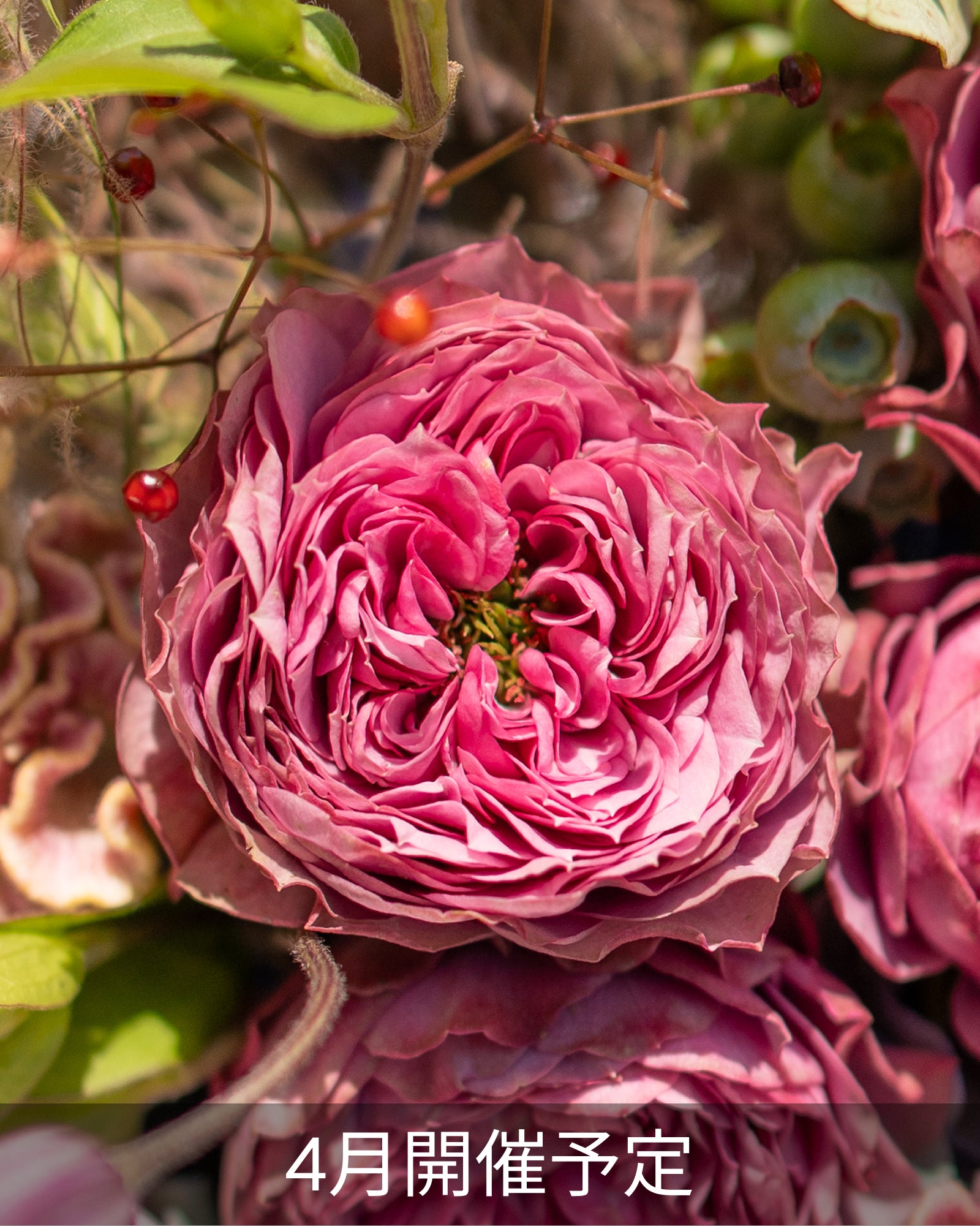 Arrangement of fragrant roses and fresh greenery (90 minutes)