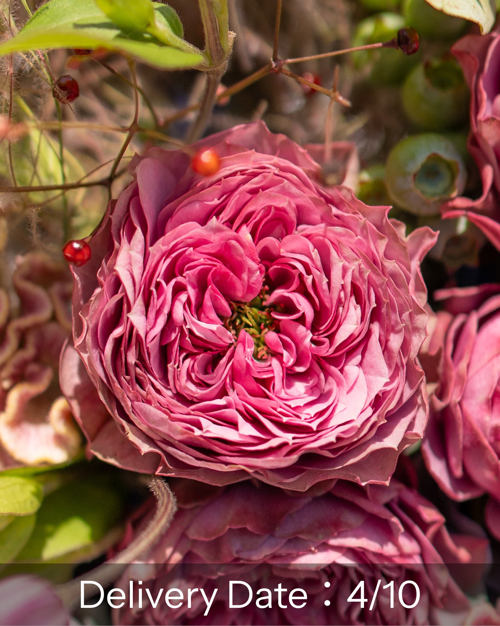 【4/10着】香りのバラと新緑のアレンジメント(送料無料)