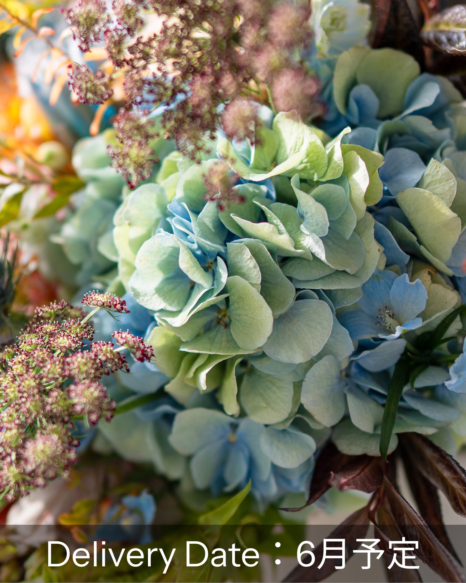 【六月到货】绣球花与初夏枝条插花(免运费)