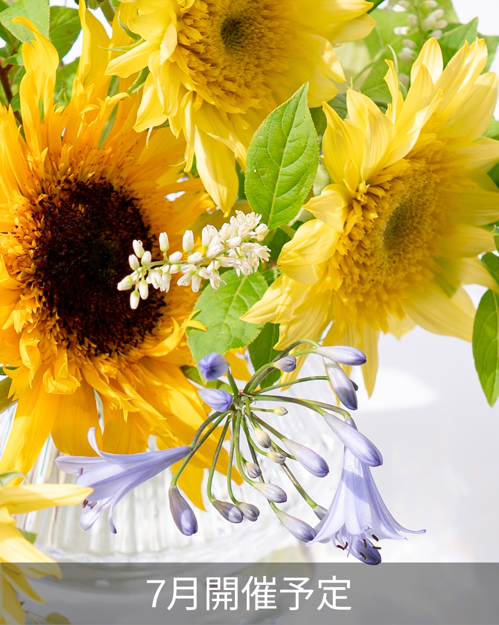 Sunflower and summer flower bouquet (90 minutes)
