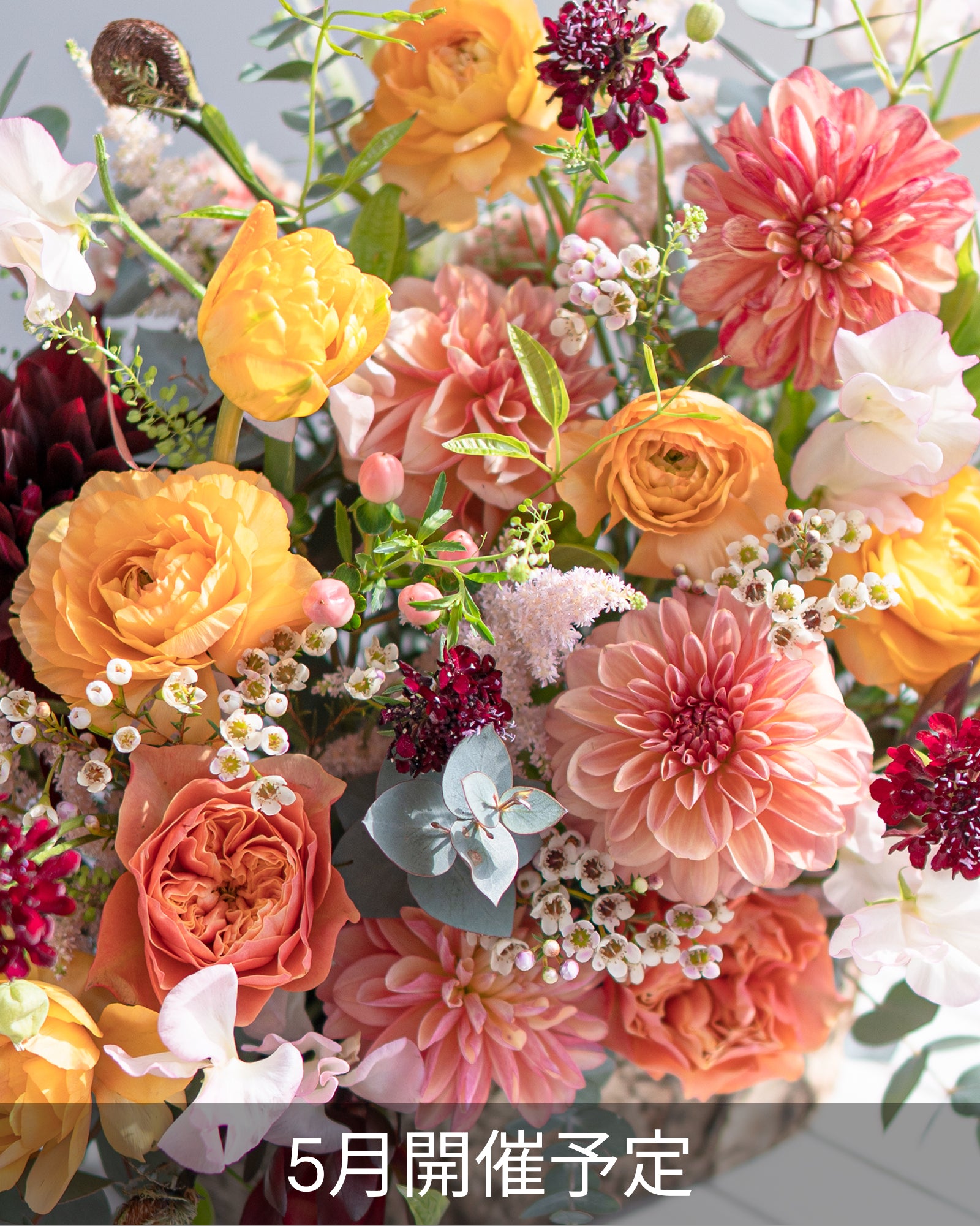 雕塑装置 | 黄金比例（150分钟）