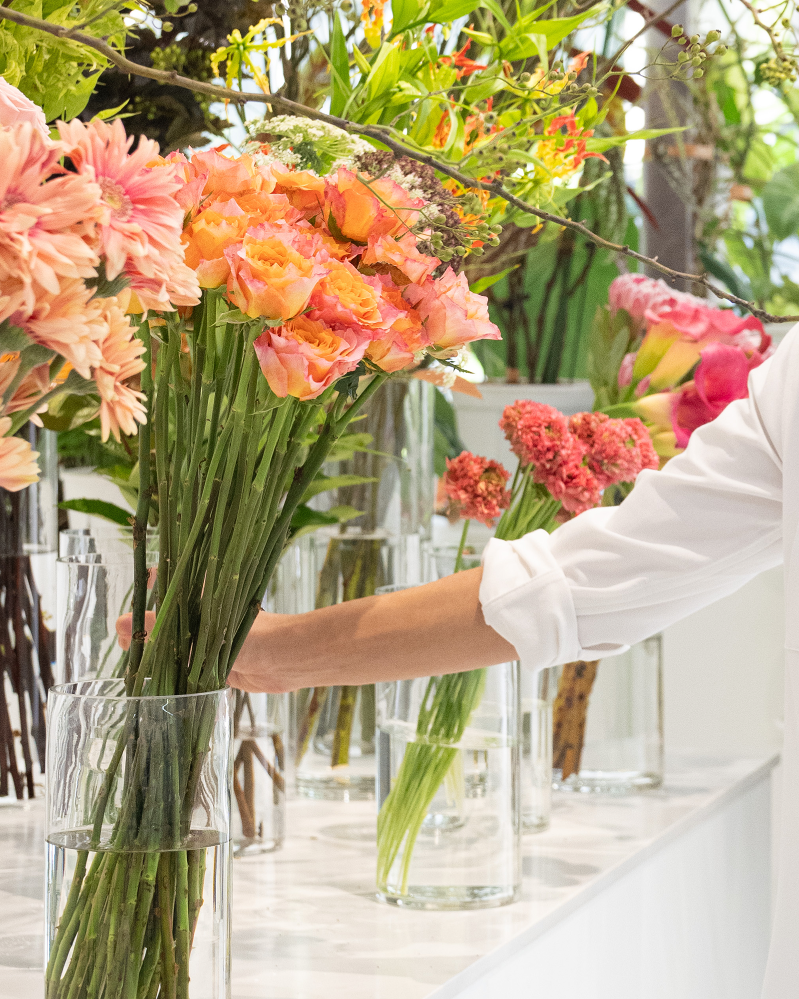 【特別プログラム】カラーデザインセオリー（2時間）