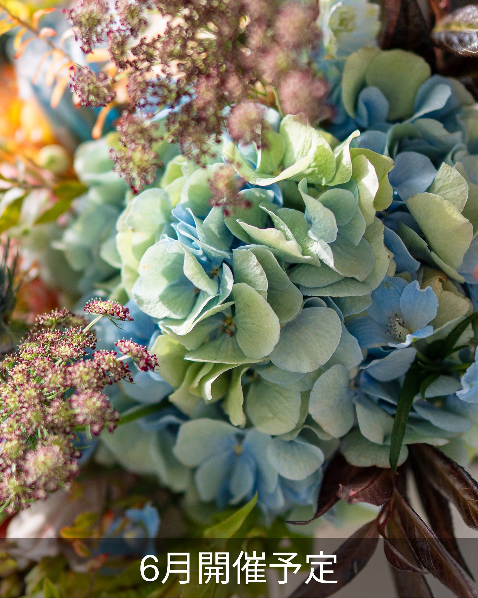 Hydrangea and early summer branch arrangement (90 minutes)